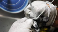 Engagement Ring Lapping Process